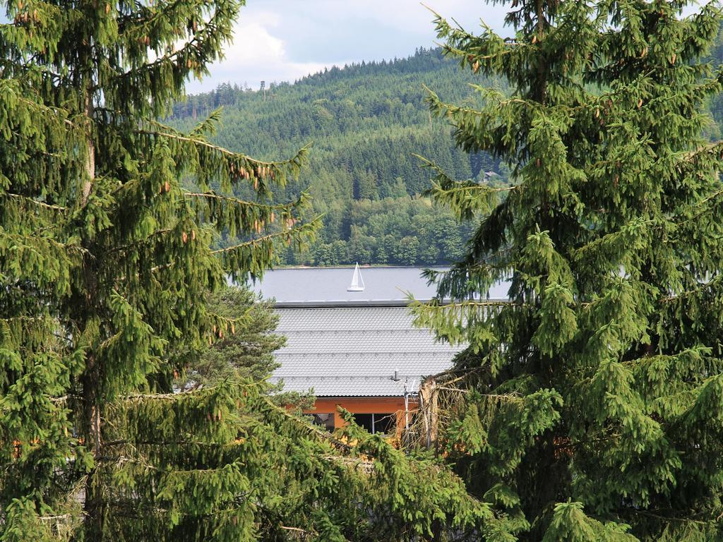 Pinie Lipno Apartment Lipno nad Vltavou
