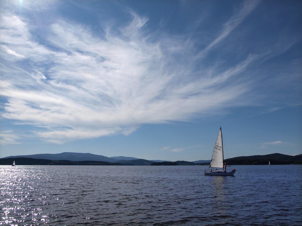 Pinie Lipno Lipno nad Vltavou