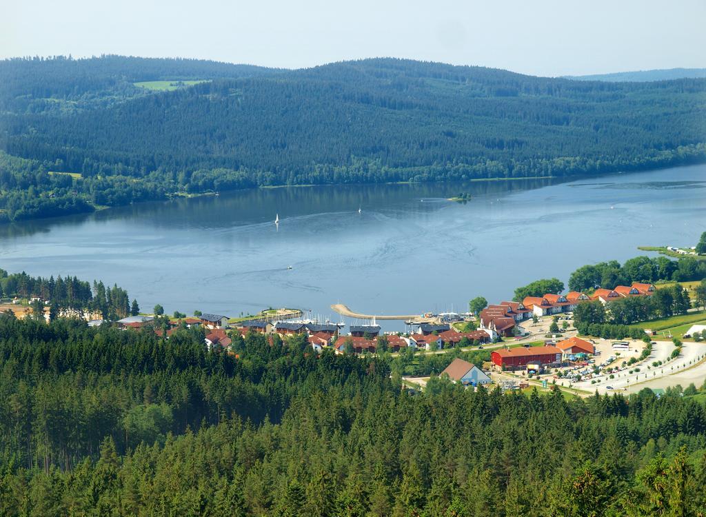 Pinie Lipno *
