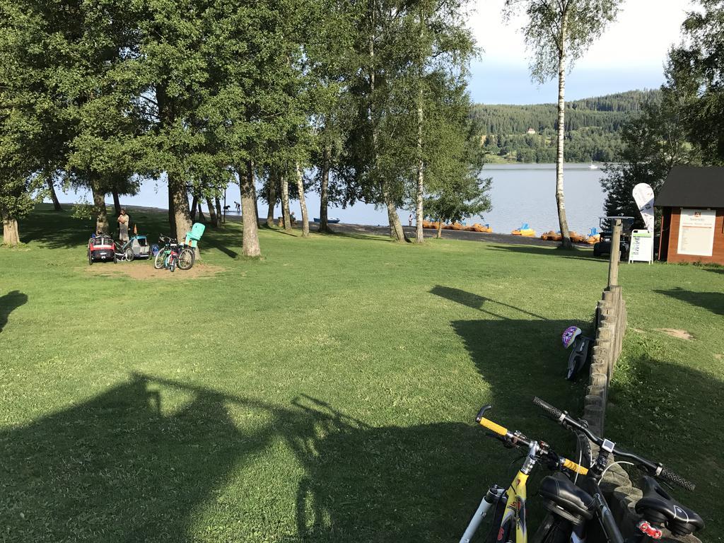 Pinie Lipno