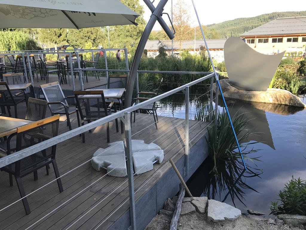 Pinie Lipno * Lipno nad Vltavou