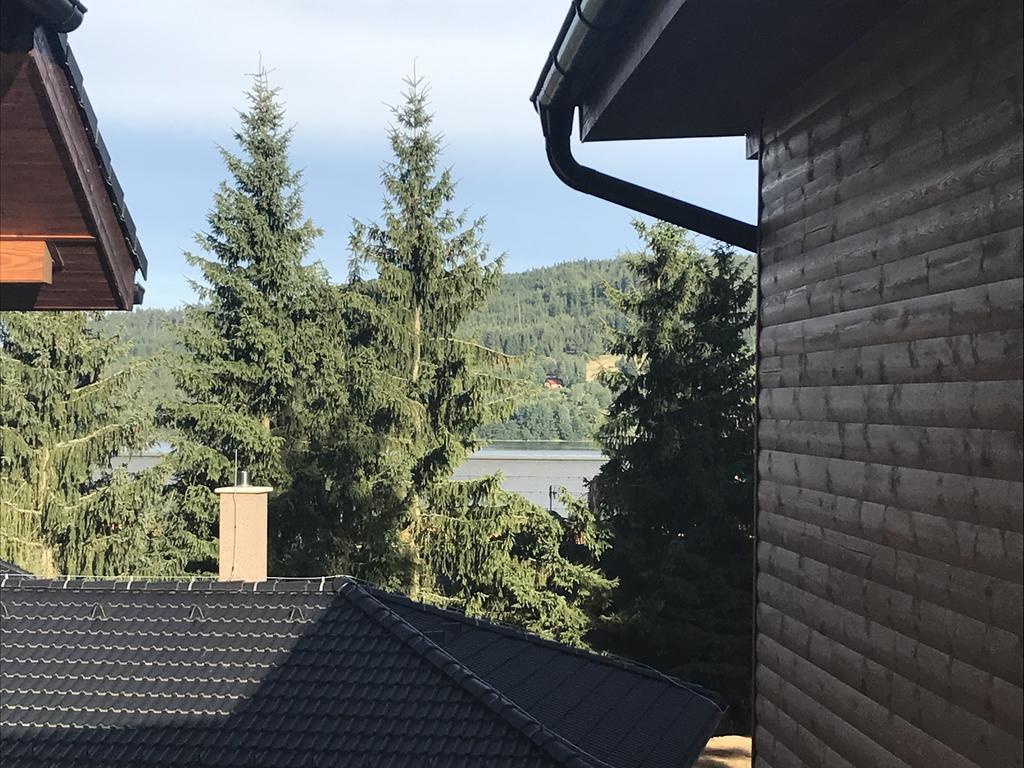 Apartment Pinie Lipno *