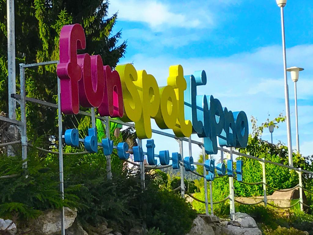 Pinie Lipno Lipno nad Vltavou