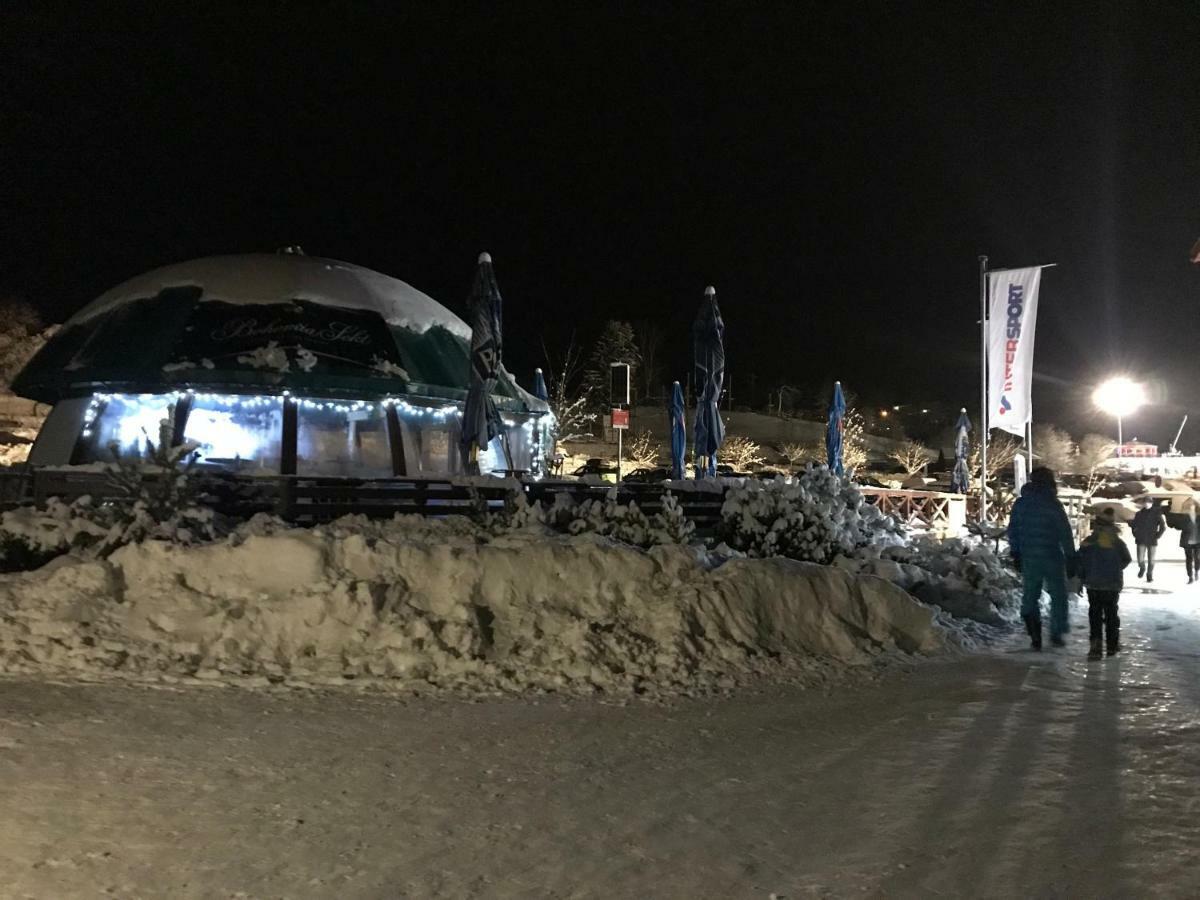 Pinie Lipno Lipno nad Vltavou