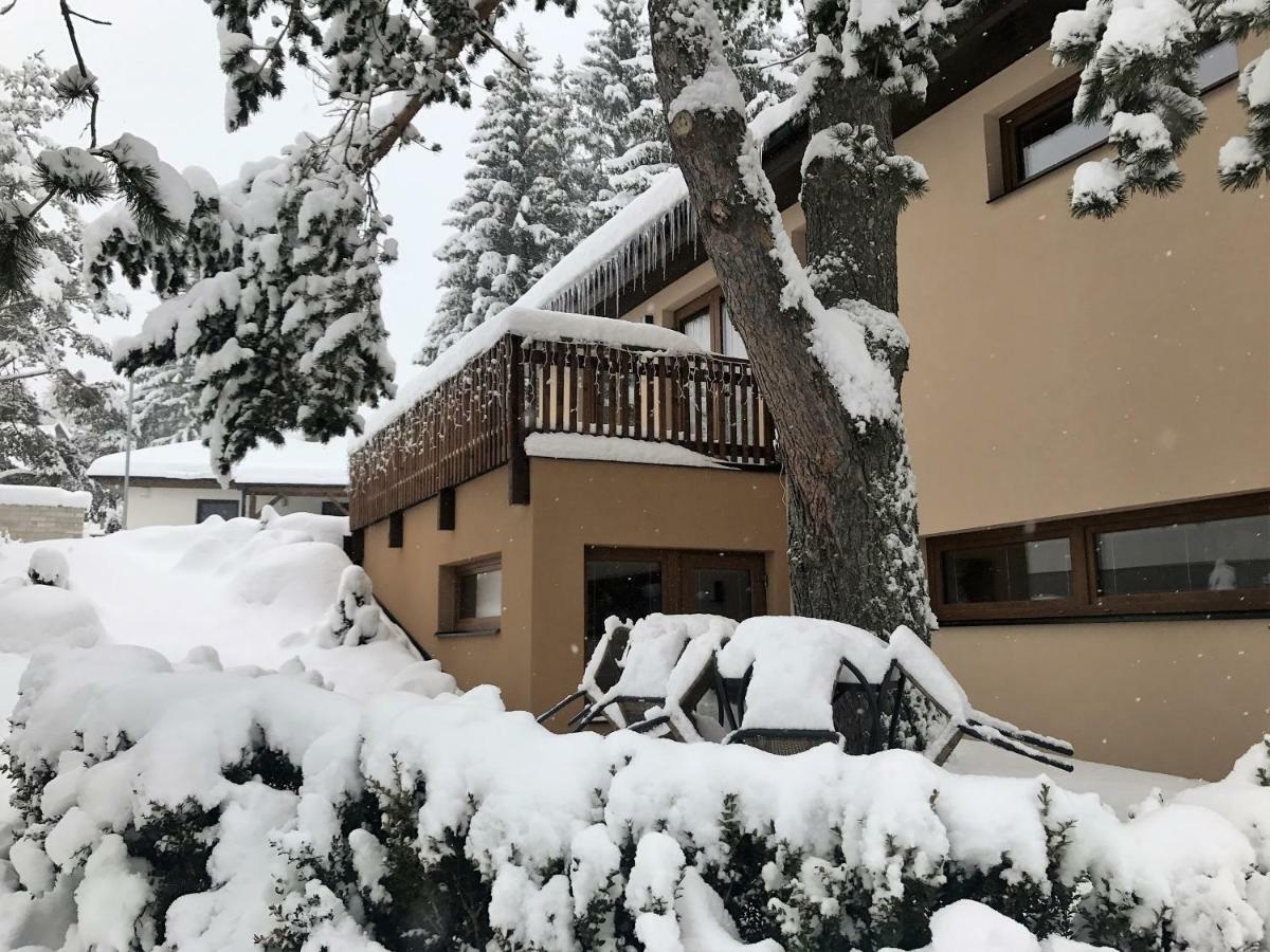 Pinie Lipno Apartment *