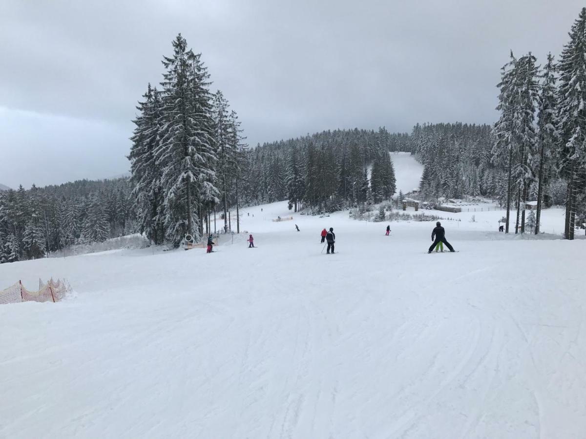 Pinie Lipno Lipno nad Vltavou