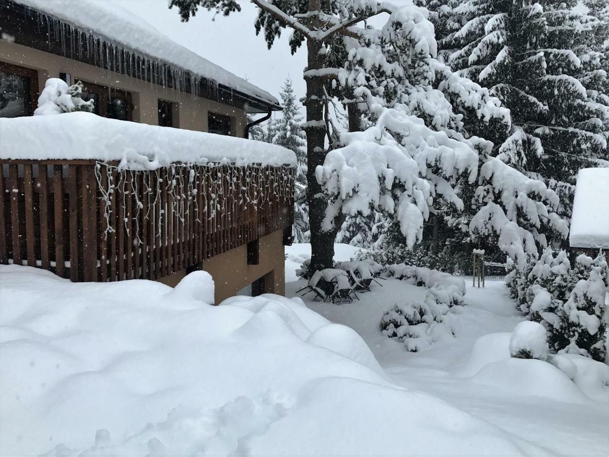 Apartment Pinie Lipno Lipno nad Vltavou