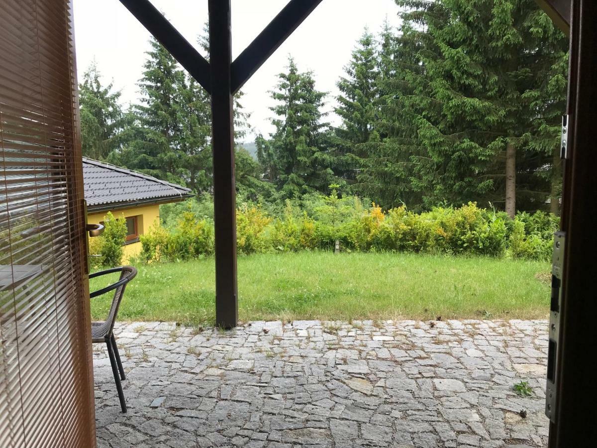 Pinie Lipno